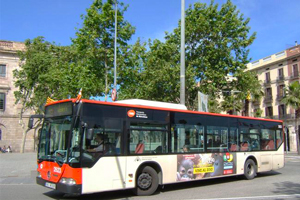 Barcelona's Bus Network